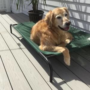 Meet your Posher, Gwen